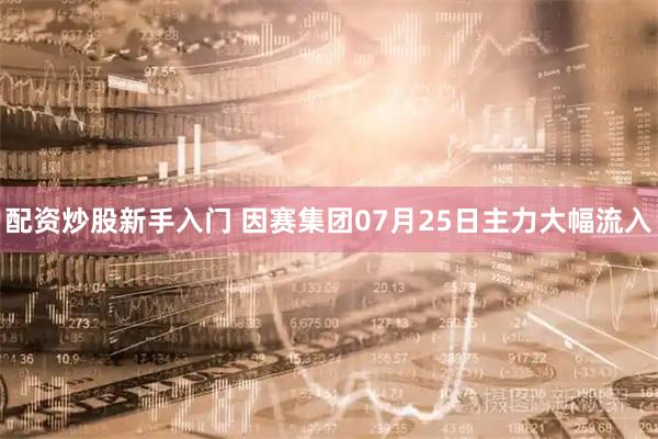 配资炒股新手入门 因赛集团07月25日主力大幅流入